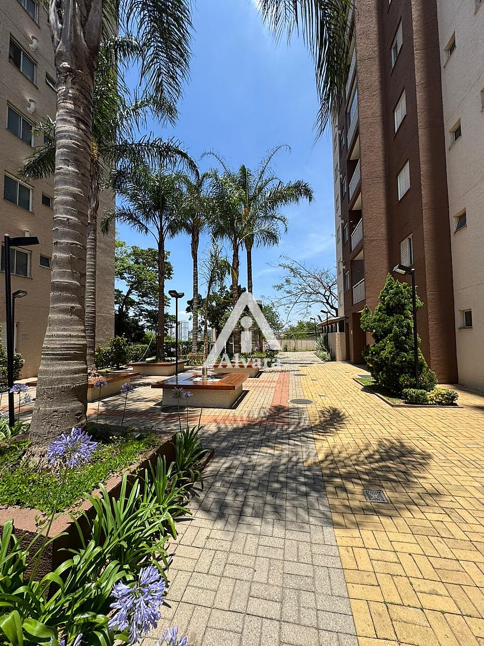 Apartamento&nbsp;S�o Paulo &nbsp;Vila Barreto &nbsp;Condom�nio Alameda das Palmeiras